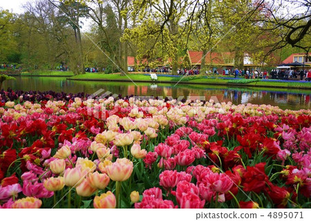 庫肯霍夫公園 庫肯霍夫公園 4895071