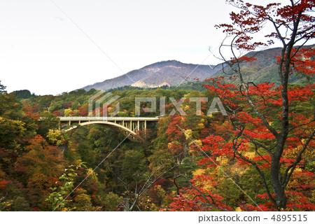 Naruko gorge of autumn leaves Naruko gorge of autumn leaves 4895515