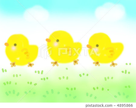 散步的小雞 散步的小雞 4895866