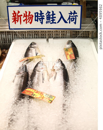 時間鮭魚 4895982