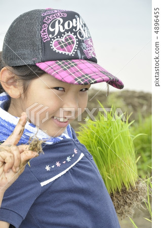 Rice planting Rice planting 4896455