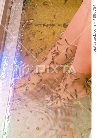 Fish spa pedicure 4896784