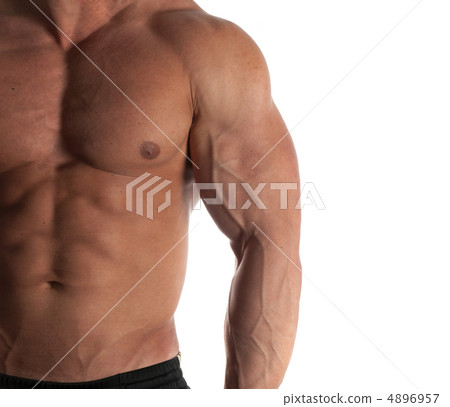 bodybuilder 4896957
