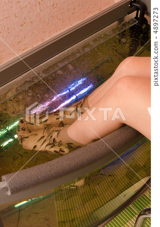 Fish spa pedicure Fish spa pedicure 4897273