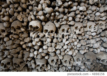 human bones and skulls 4898156