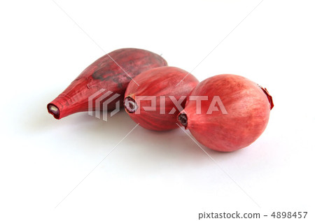 red onion red onion 4898457