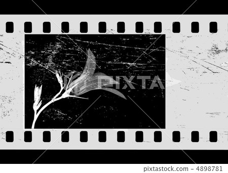 camera film camera film 4898781
