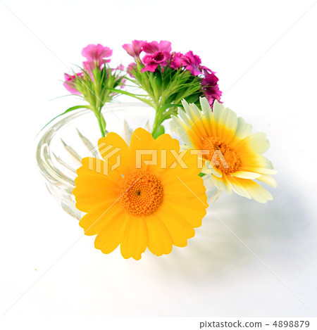 flowerses in vase flowerses in vase 4898879