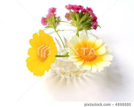 flowerses in vase 4898880
