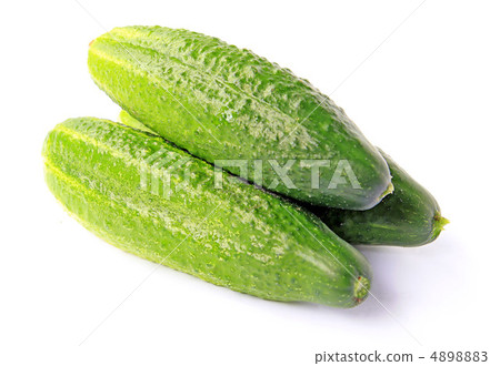 cucumber on white background cucumber on white background 4898883