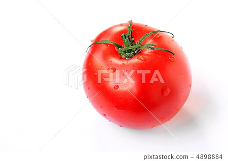 tomatoes tomatoes 4898884