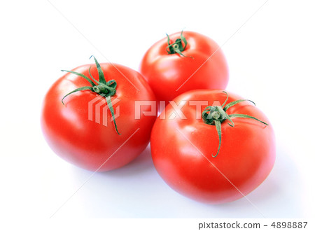 tomatoes tomatoes 4898887