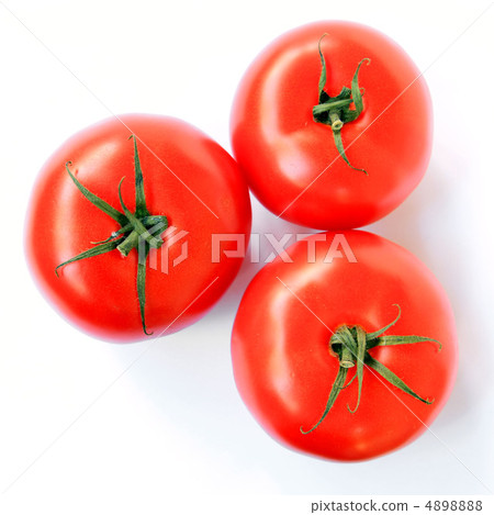 tomatoes tomatoes 4898888