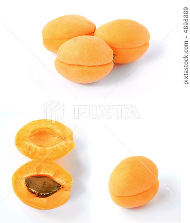 apricot apricot 4898889