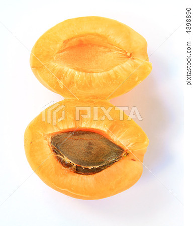 apricot apricot 4898890