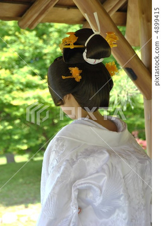 新娘 新娘 4899415