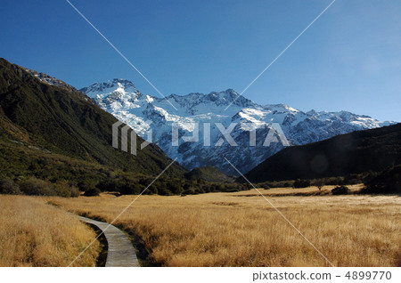 Care Point Walk Care Point Walk 4899770