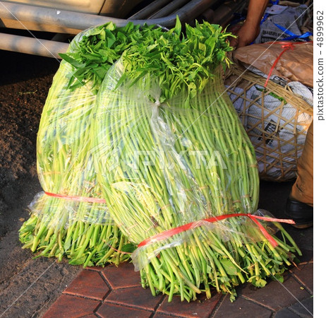 Kuushin Sai曼谷泰國 4899962