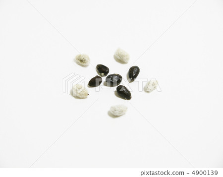 Cotton seeds Cotton seeds 4900139