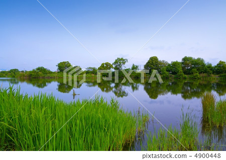 淀川魔杖 淀川魔杖 4900448