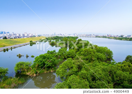 淀川魔杖 淀川魔杖 4900449