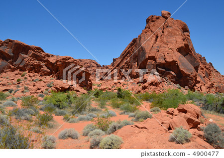 Valley of Fire State Park 4900477