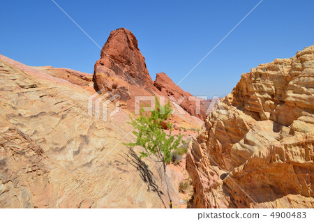 火州立公園 4900483