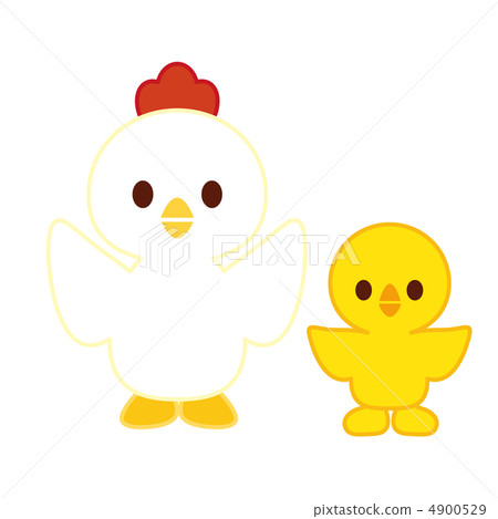 Parent and child of chicken and chick 4900529