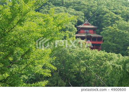 磯山植物園佐野市 4900600