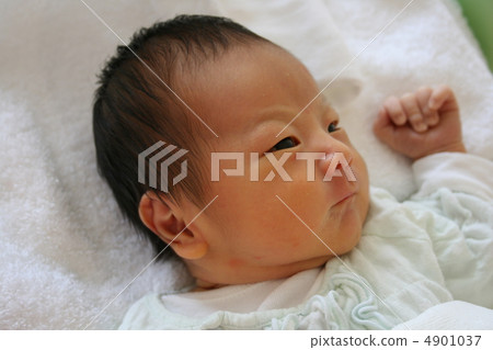 baby baby 4901037