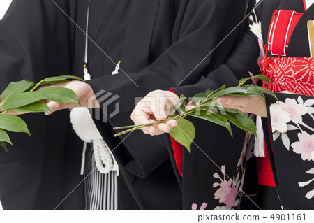 奉獻給Tamushi 奉獻給Tamushi 4901161