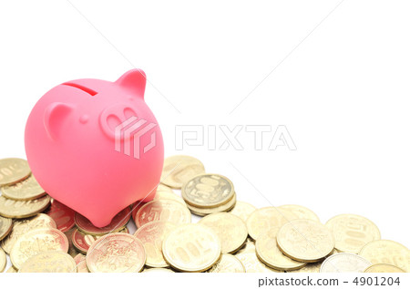 Pig's piggy bank 500 yen 4901204
