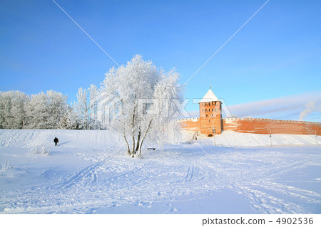 tree in snow tree in snow 4902536