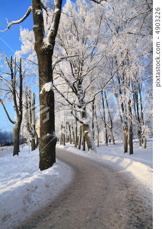 lane in town park 4903226