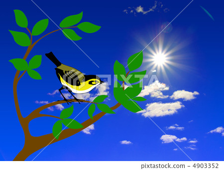 bird on tree bird on tree 4903352