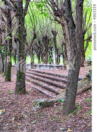aging stairway in spring park 4903359