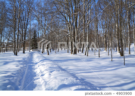 snow lane in winter park snow lane in winter park 4903900
