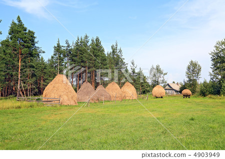 stack hay on green field stack hay on green field 4903949