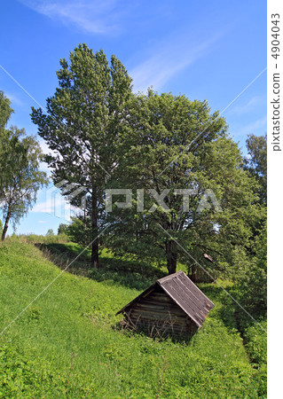 wooden house in green wood wooden house in green wood 4904043