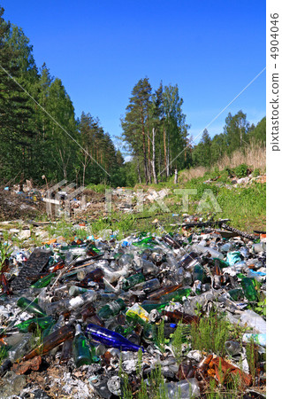 garbage pit in pine wood garbage pit in pine wood 4904046