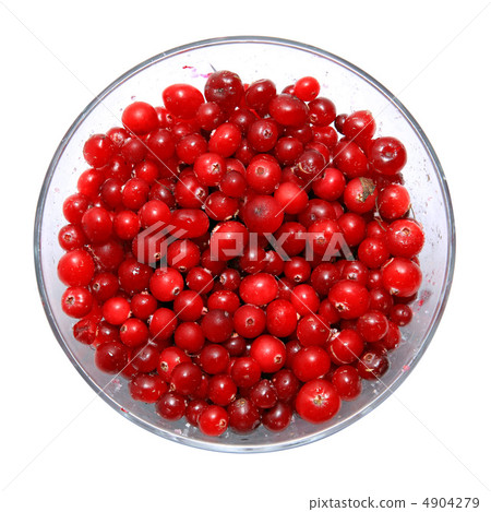 cranberry in plate on white background cranberry in plate on white background 4904279
