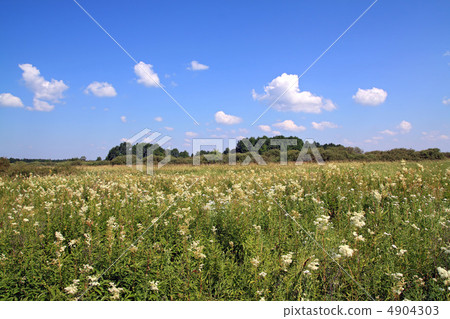 lovely, background, celestial 4904303