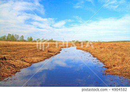 small river amongst dry herb on spring field 4904582