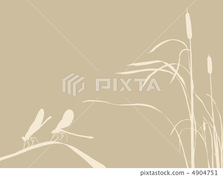 two dragonflies on brown background two dragonflies on brown background 4904751