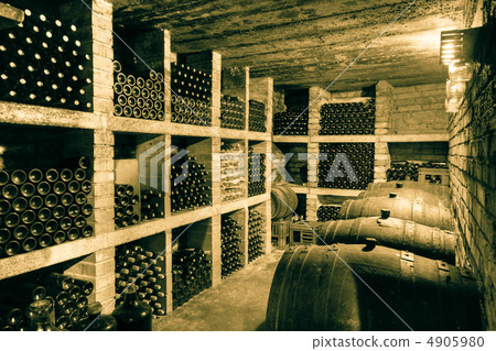 wine cellar wine cellar 4905980