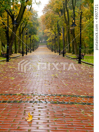 alleyway with paved road to autumn park alleyway with paved road to autumn park 4907721
