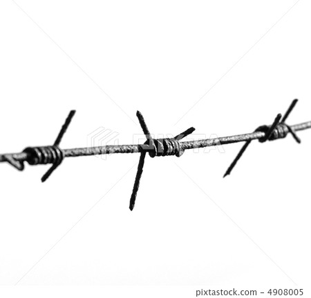 barbed wire isolated 4908005