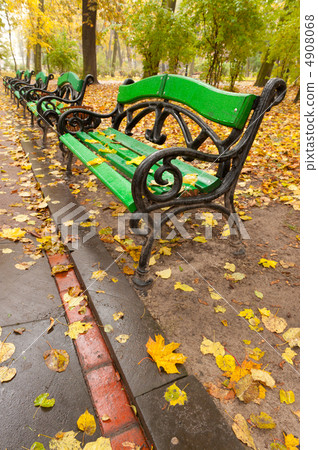 Autumn park. Rainy weather 4908068