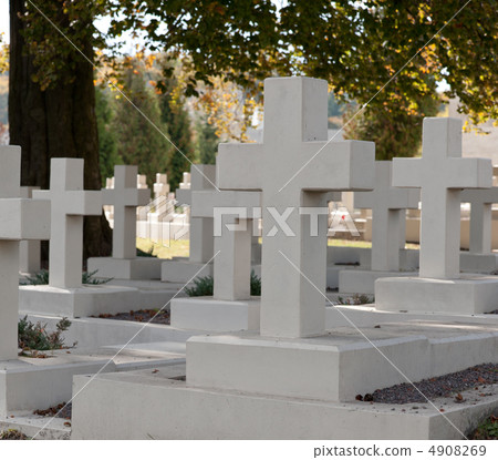 Military cemetery Military cemetery 4908269