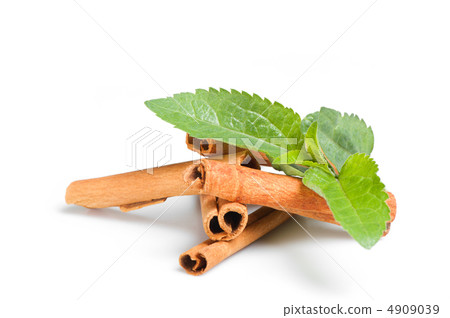 Cinnamon and green leaves 4909039